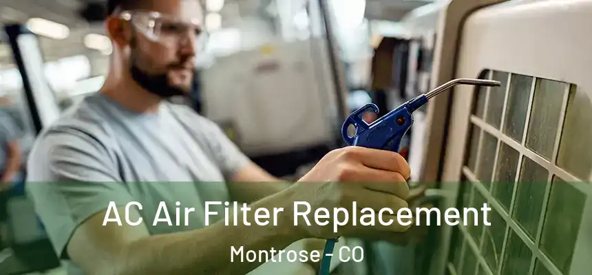 AC Air Filter Replacement Montrose - CO