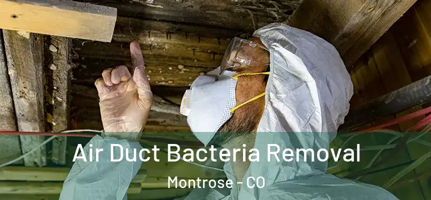 Air Duct Bacteria Removal Montrose - CO