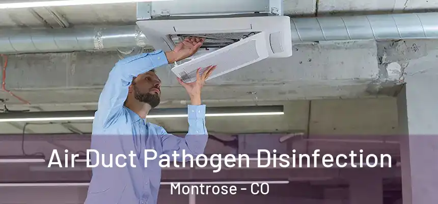  Air Duct Pathogen Disinfection Montrose - CO
