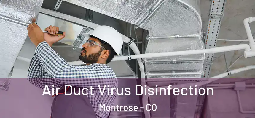 Air Duct Virus Disinfection Montrose - CO