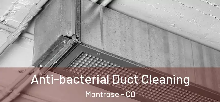  Anti-bacterial Duct Cleaning Montrose - CO