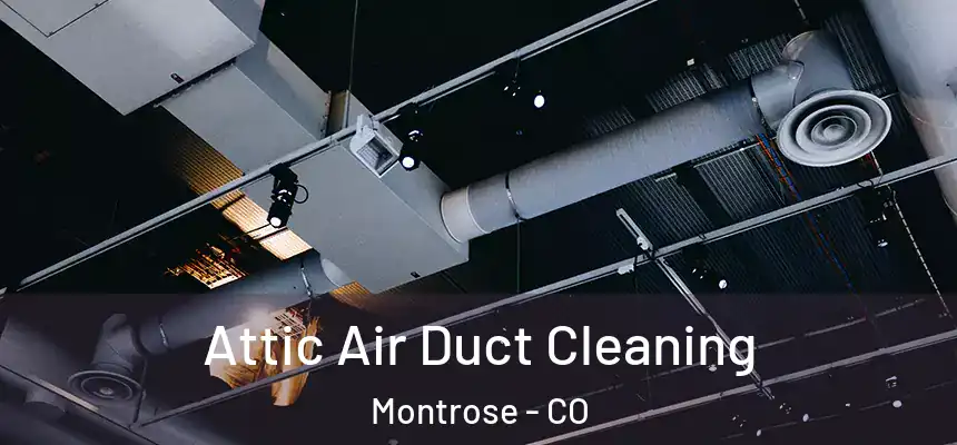  Attic Air Duct Cleaning Montrose - CO