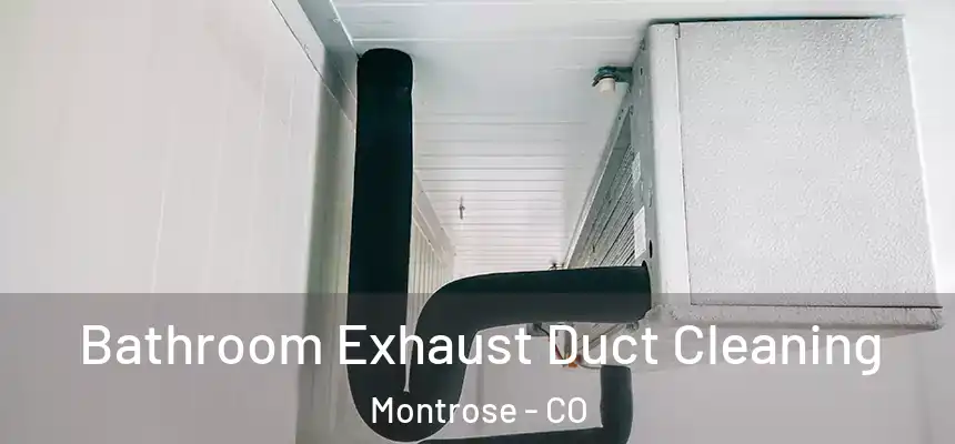 Bathroom Exhaust Duct Cleaning Montrose - CO