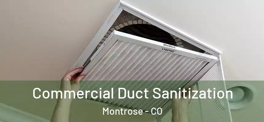Commercial Duct Sanitization Montrose - CO