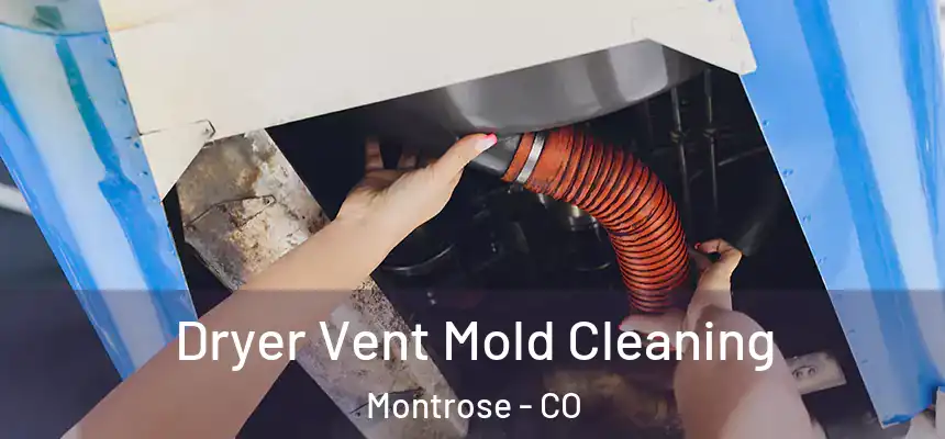 Dryer Vent Mold Cleaning Montrose - CO