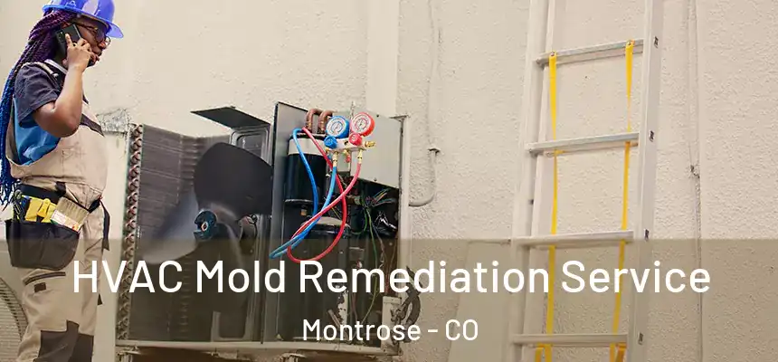  HVAC Mold Remediation Service Montrose - CO