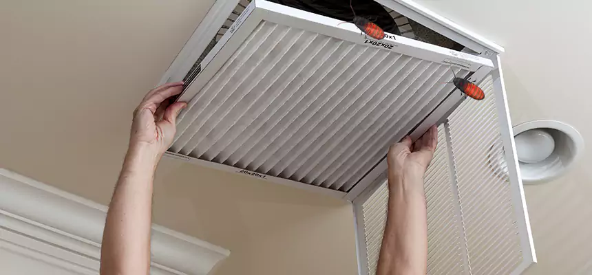 Preventive Cockroach-Proofing for Ducts in Montrose