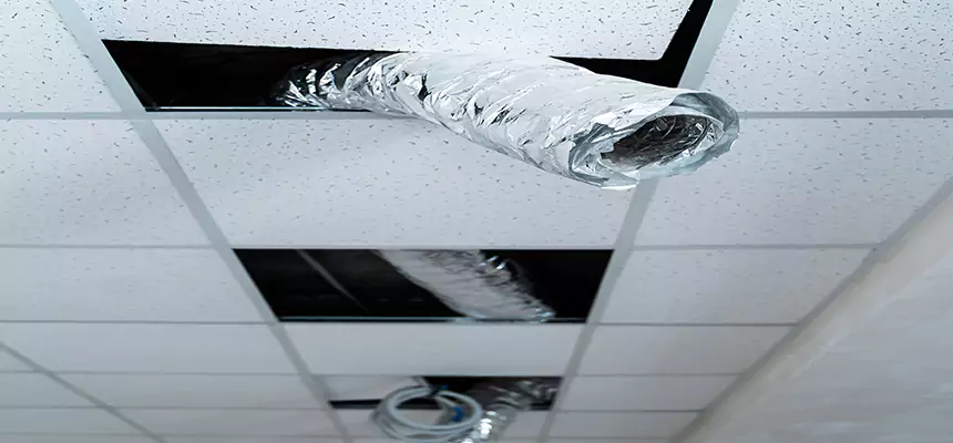 Our Air Duct Pet Hair Removal Services in Montrose, CO