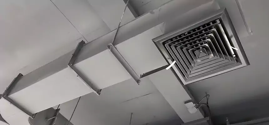 Restorative Allergy Relief Vent Cleaning – Coil, Blower & Housing Detail in Montrose