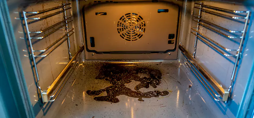 Our Dryer Vent Mold Cleaning Services in Montrose, CO