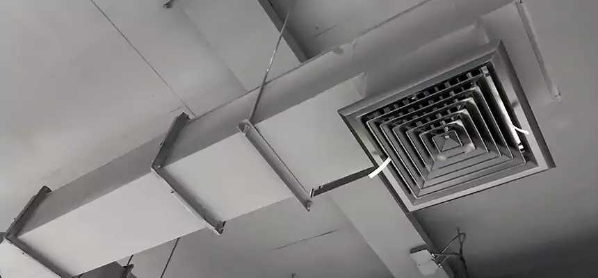 Our Rodent Droppings In Vents Services in Montrose, CO