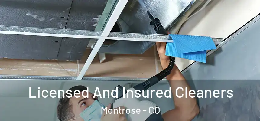 Licensed And Insured Cleaners Montrose - CO