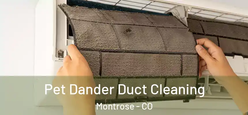 Pet Dander Duct Cleaning Montrose - CO