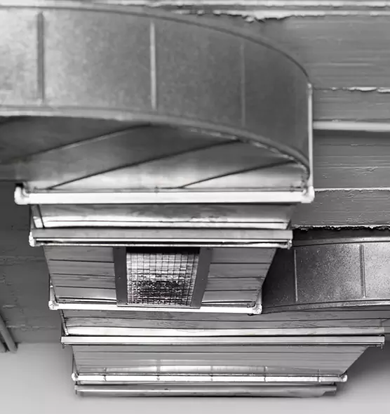 Professional Air Duct Pest Removal in Montrose, CO