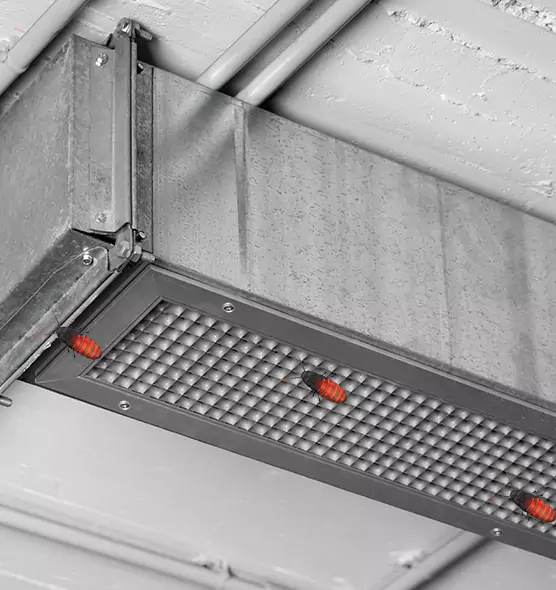 Affordable Insect Removal from Air Ducts in Montrose, CO