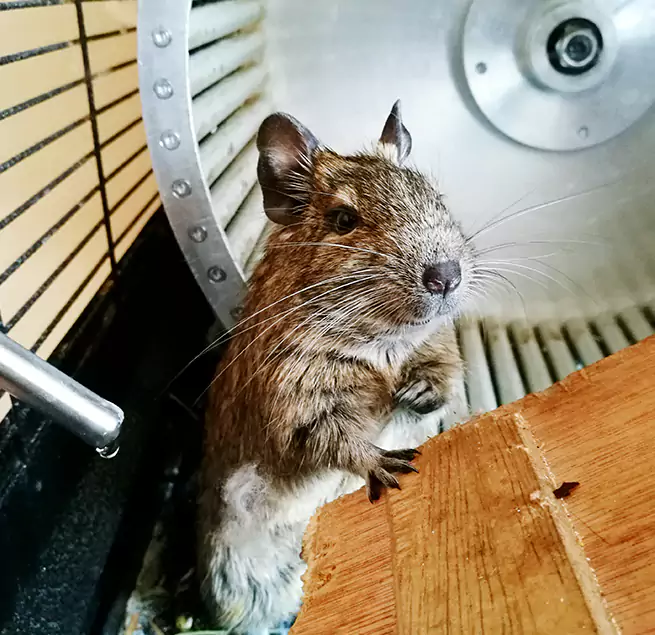 Why Homeowners & Businesses Trust Us Montrose, CO?