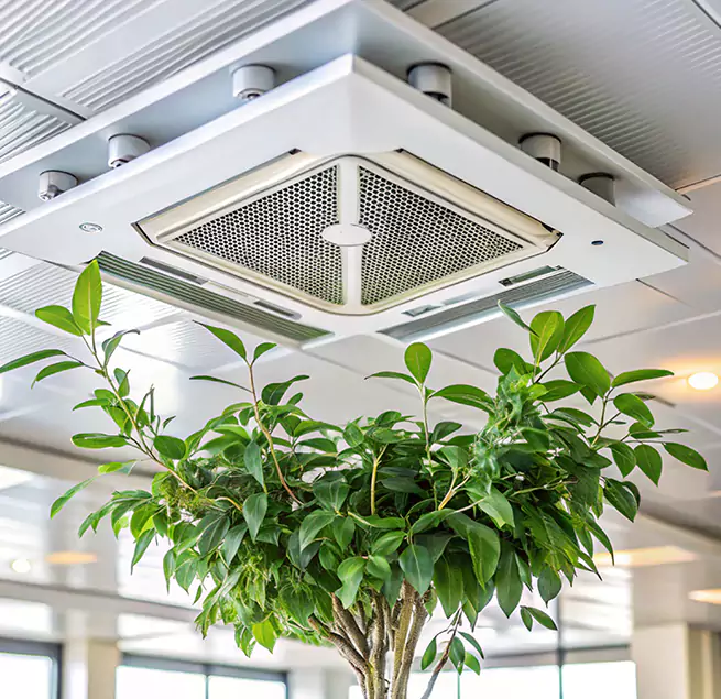 Why Homeowners & Businesses Trust Us in Montrose, CO