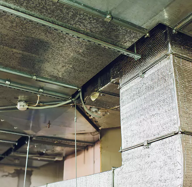 Why Homeowners & Businesses Trust Us in Montrose, CO?