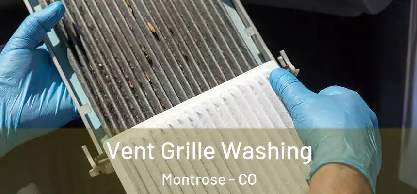 Vent Grille Washing Montrose - CO