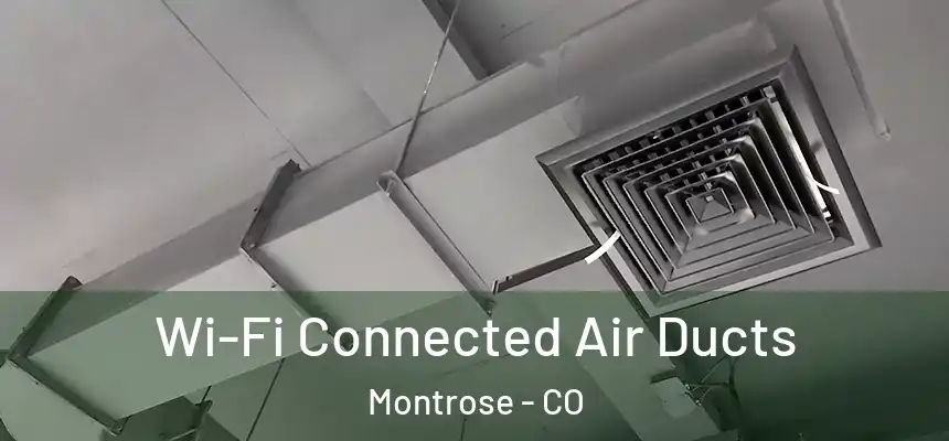 Wi-Fi Connected Air Ducts Montrose - CO